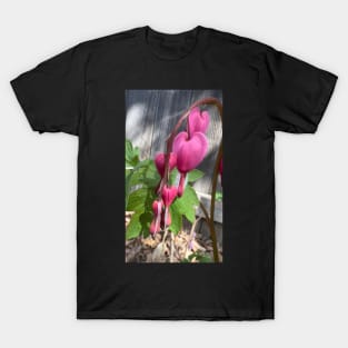 Pink Bleeding Hearts T-Shirt